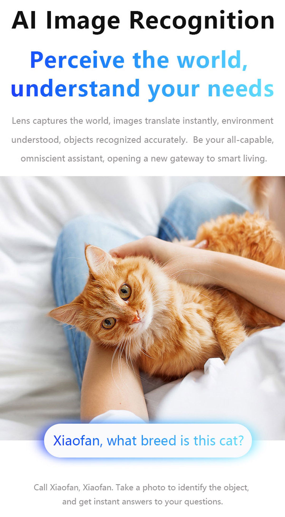 Ai106 Smart Glasses with Bluetooth and AI Translator Voice Control 6MP Camera WIFI Bluetooth Connectivity Touchscreen Real-time Translation