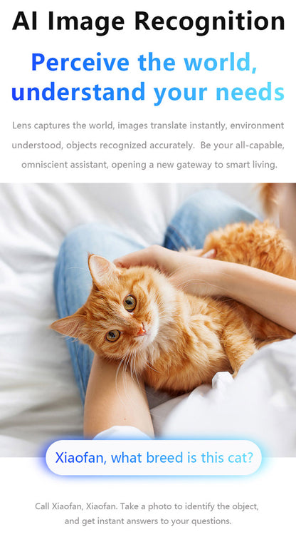 Ai106 Smart Glasses with Bluetooth and AI Translator Voice Control 6MP Camera WIFI Bluetooth Connectivity Touchscreen Real-time Translation