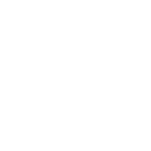 YADEA Scooter